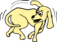 Agitated Dog 5