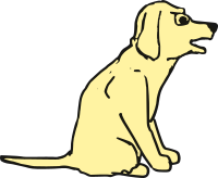 Agitated dog 3
