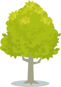 Tree 3