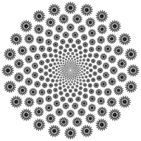 Vortex