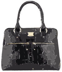 Black Lizard Zipper Bag No Logo