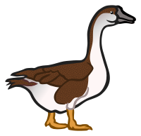 goose2 - coloured