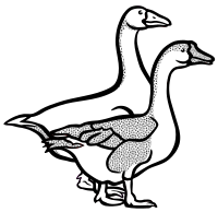 geese - lineart
