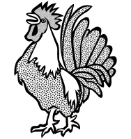 cock2 - lineart
