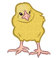 chick2 - coloured