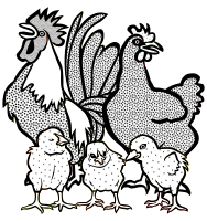chickens - lineart