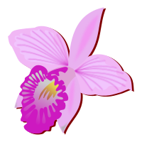 Arundina