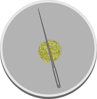 DIY Compass
