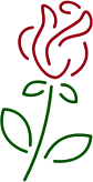 Line Rose
