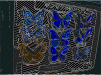 Blue Butterflies