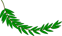 Branch