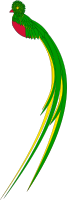 Bird 3