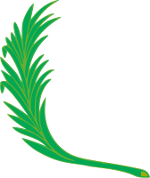 Branch 3