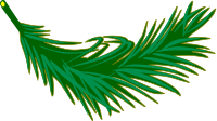 Palm frond