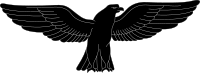 Black goshawk