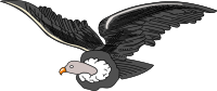 Condor