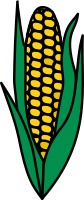 Corn 3