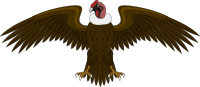 Condor 2
