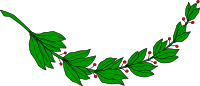 Laurel branch 5