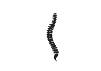spine