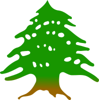 Cedar tree