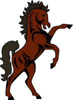 Basutho horse
