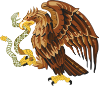 Golden eagle with snake
