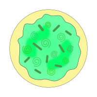 Green Swirl Sugar Cookie