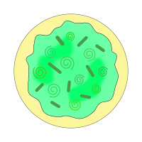 Green Swirl Sugar Cookie - Solid