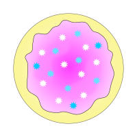 Pink Sugar Cookie - Solid