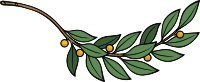 Laurel branch 7