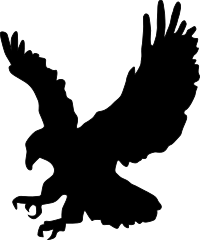 Eagle 01