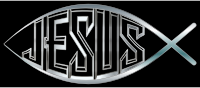 Jesus Fish Silver