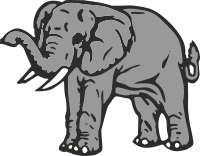 Elephant 7