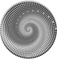 Abstract Vortex 21 No Background