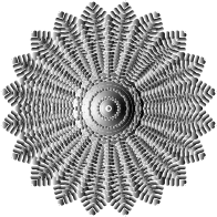 Petrified Alien Blossom