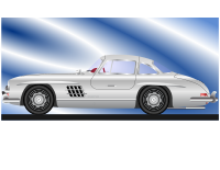 SL 300
