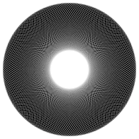Geometric Line Art Torus