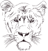 Lioness