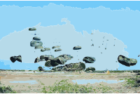 AirdropcloseJan18haiti edited