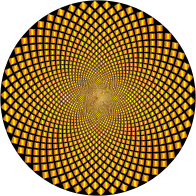 Hypnotic Checkerboard Vortex 6
