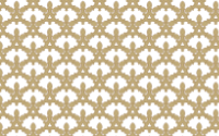 Seamless Ornate Frame 24 Derived Pattern 5