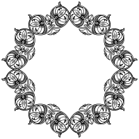 Divider 144 Fusion