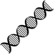 DNA Helix Variation 2