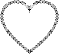 DNA Heart Variation 2