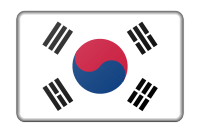 South Korea flag (bevelled)