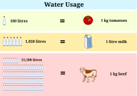 Water usage