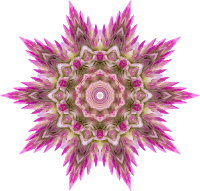 Wildflower kaleidoscope 2