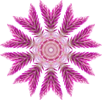 Wildflower kaleidoscope 1