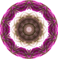 Wildflower kaleidoscope 6